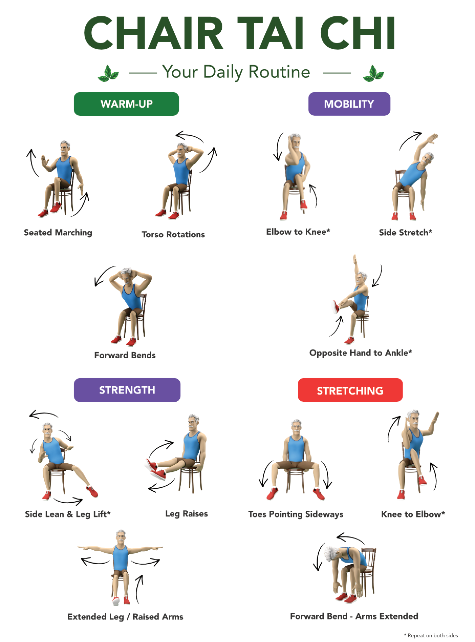 Chair Tai Chi Exercises Printable Wall Art | 12 Chair Exercises Poster | Senior Fitness PDF | Instant Download | 3 Print Ratios