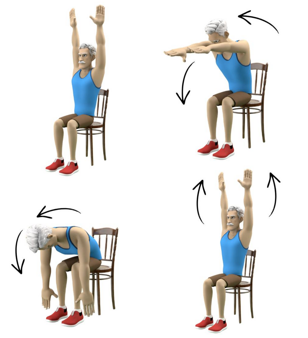 Printable Chair Tai Chi PDF – Lose Belly Fat After 50 | 20-Minute Chair Workout for Seniors by Jo Deluk